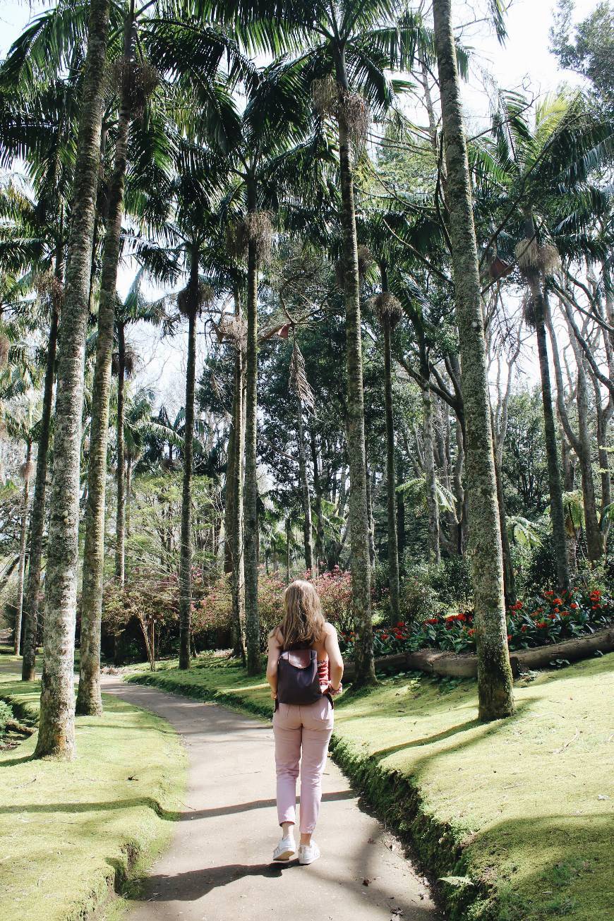 Place Terra-Nostra-Park