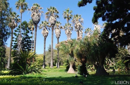 Tropical Botanical Garden