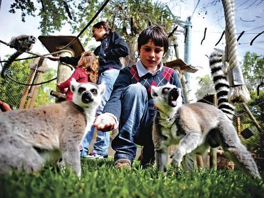 Jardim Zoológico de Lisboa