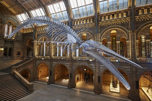 Natural History Museum