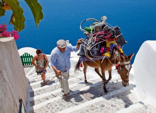 Santorini Donkey