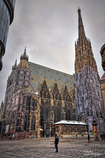 Catedral de Viena