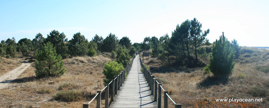 Place Viana do Castelo - Praia do Cabedelo