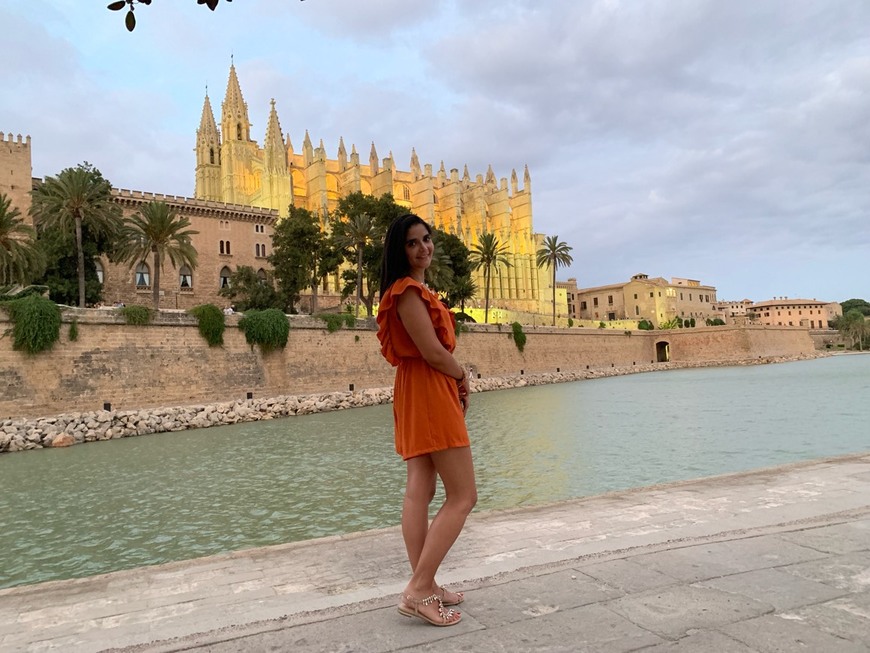 Lugar Catedral-Basílica de Santa María de Mallorca