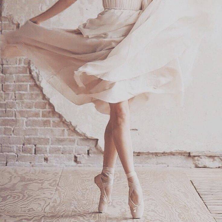 Social Ballet💃
