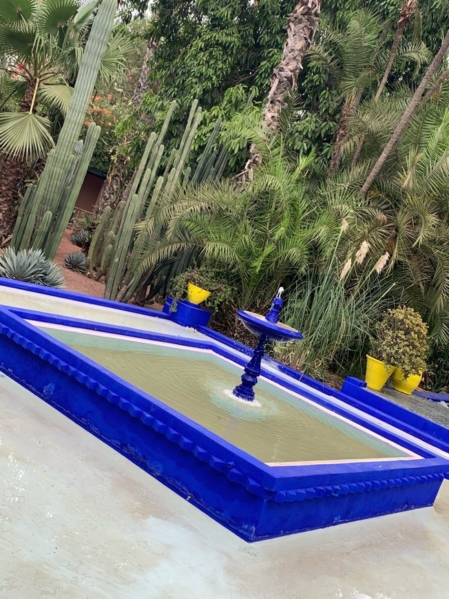 Place Jardín Majorelle