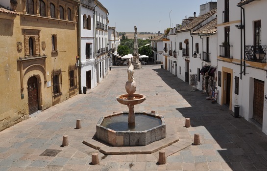 Place Plaza del Potro