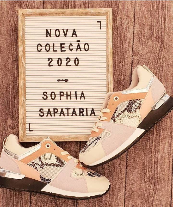 Sophia sapataria