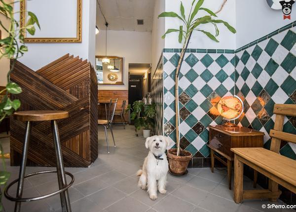 Restaurantes El Perro De Pavlov