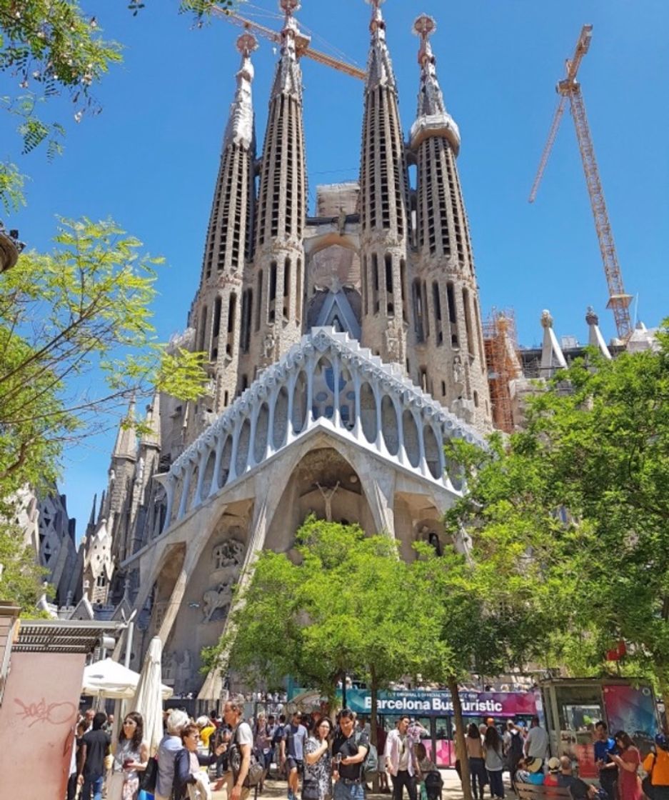 Lugar Basílica Sagrada Familia