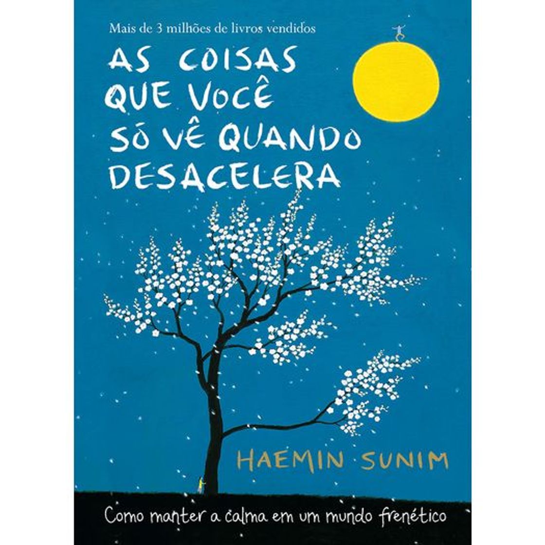 Book As Coisas Que Você Só Vê Quando Desacelera 