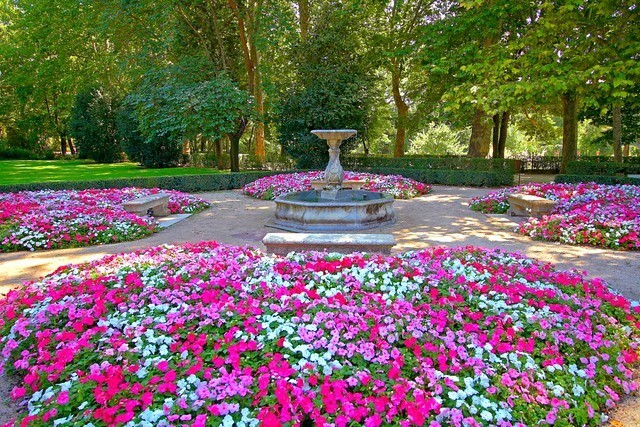 Lugar Parque El Capricho