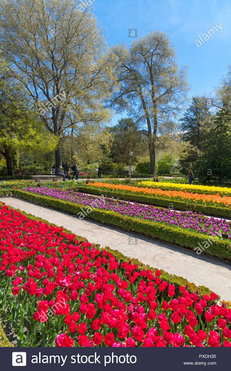 Real Jardín Botánico