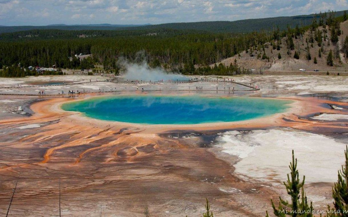 Lugar Parque Nacional Yellowstone