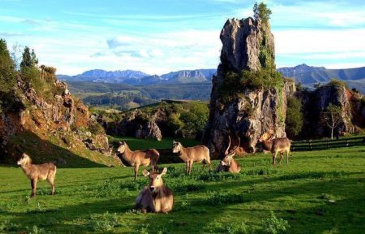 Place Parque de la Naturaleza de Cabárceno