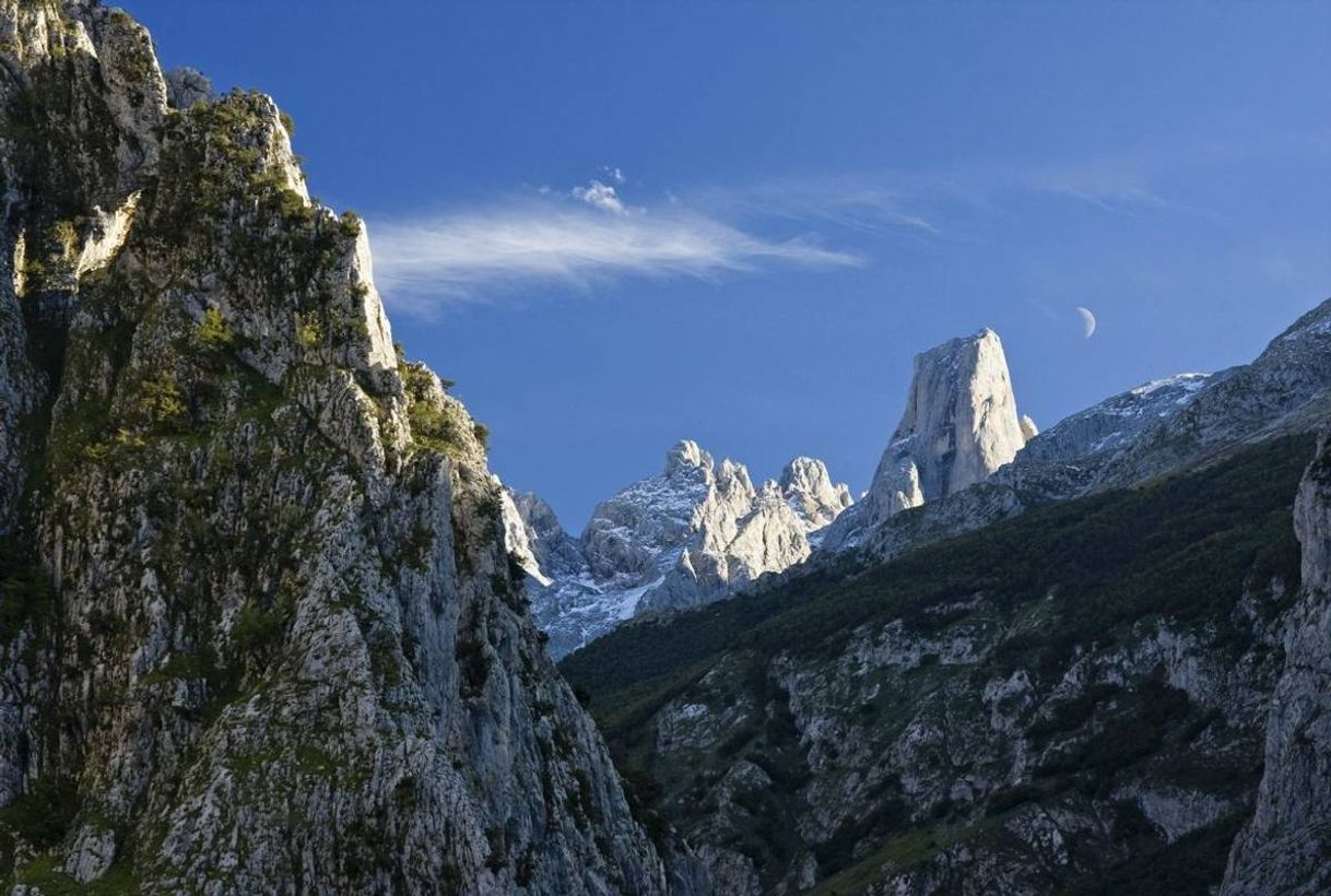 Place Picos de Europa