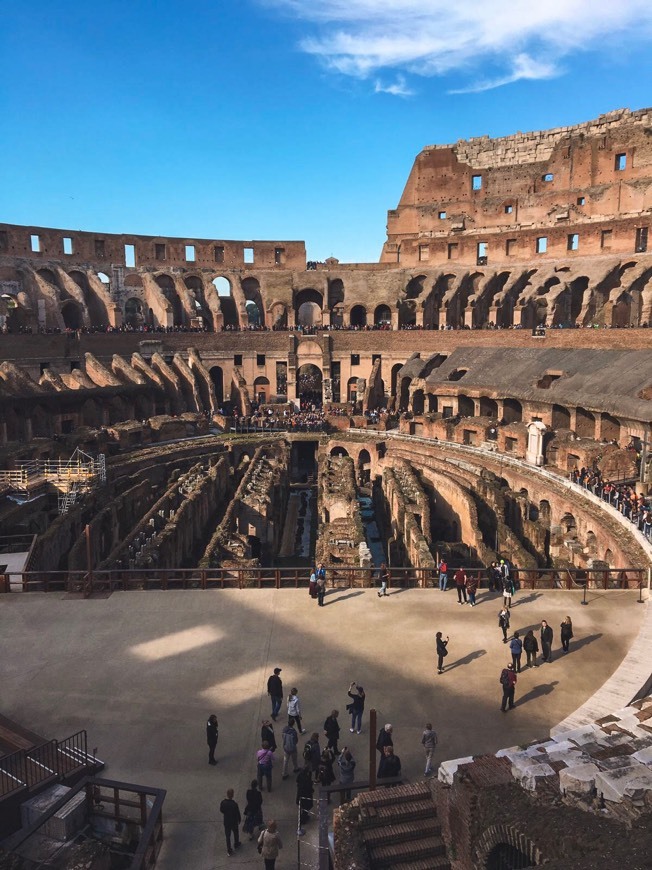 Lugar Coliseo de Roma