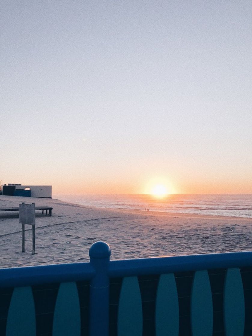 Social As Free As The Ocean 