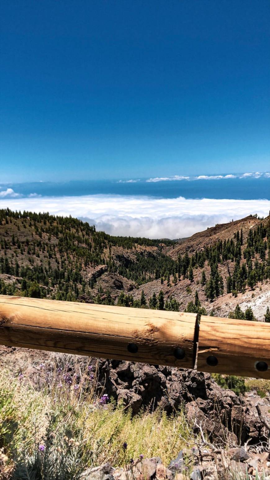 Lugar Teide