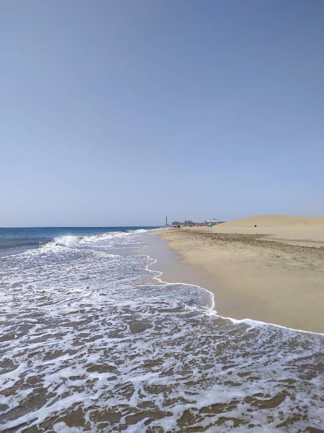 Social Gran Canaria