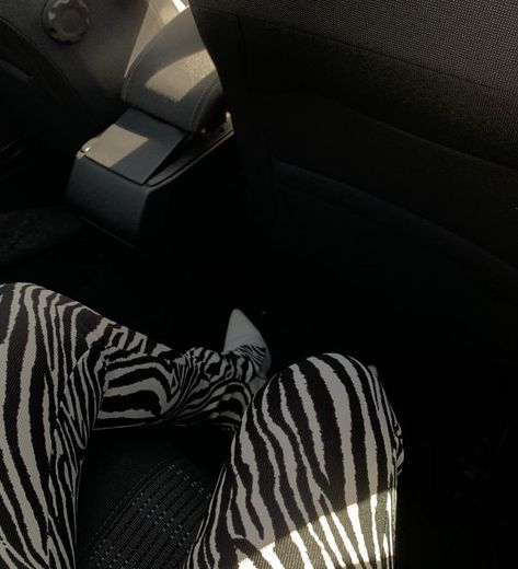 Zebra pants 