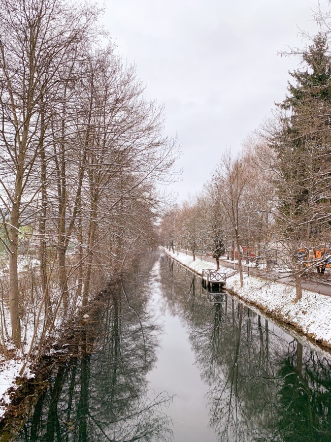 Universitätsstraße