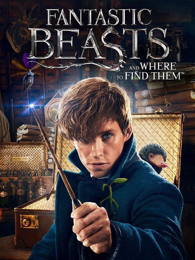 Movie Fantastic Beasts and where to find them