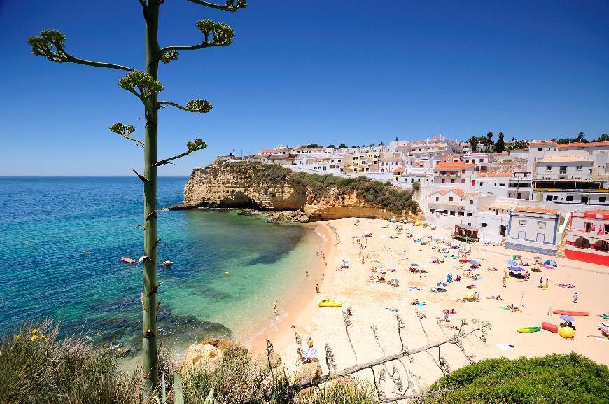 Place Praia do Carvoeiro