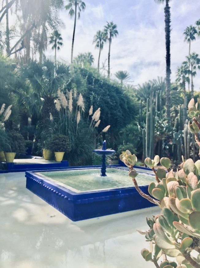 Lugar Jardín Majorelle