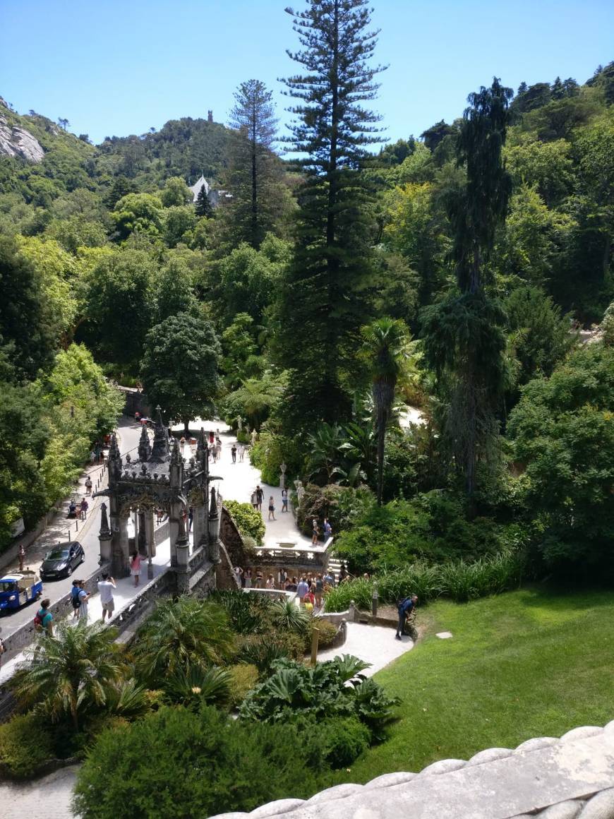 Place Quinta da Regaleira