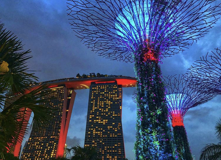 Place Marina Bay Sands