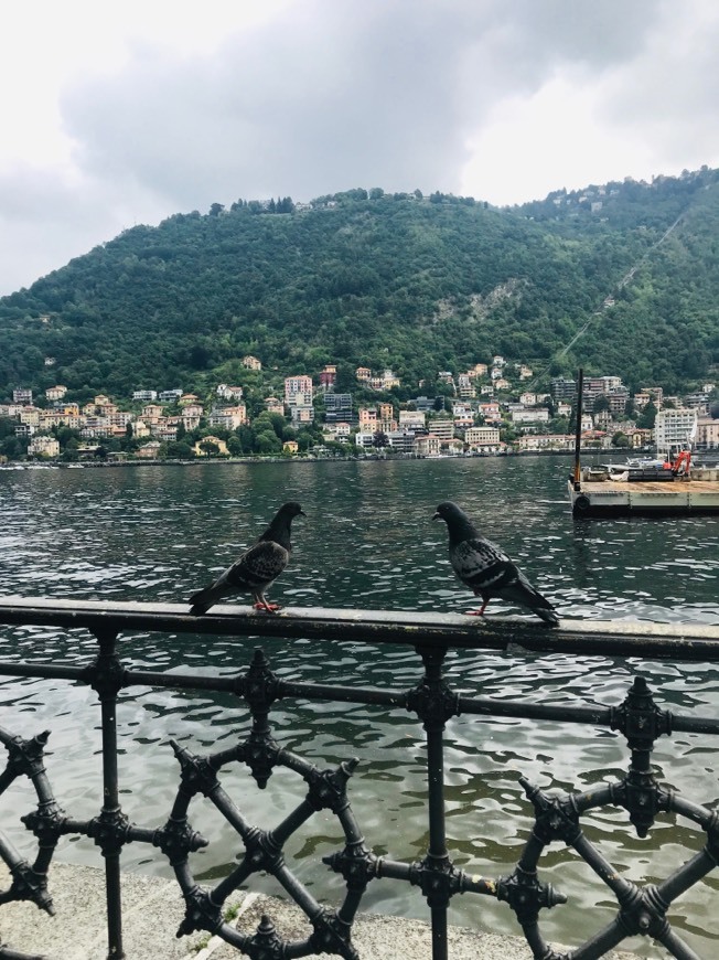 Lugar Lago di Como