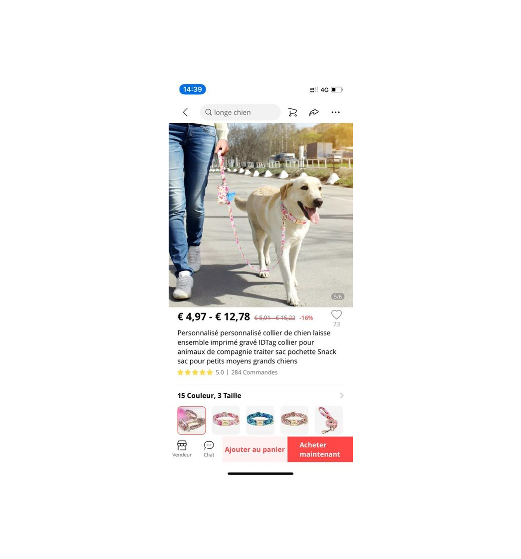 Social Correa y collar perro