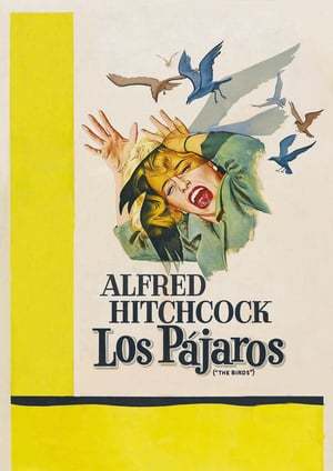 Movie Los pájaros