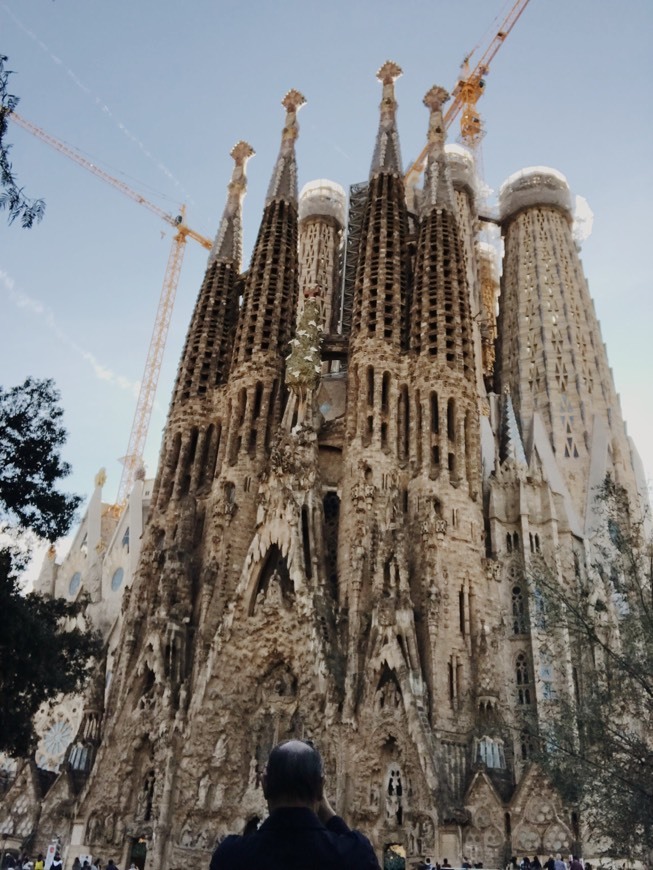 Lugar Basílica Sagrada Familia