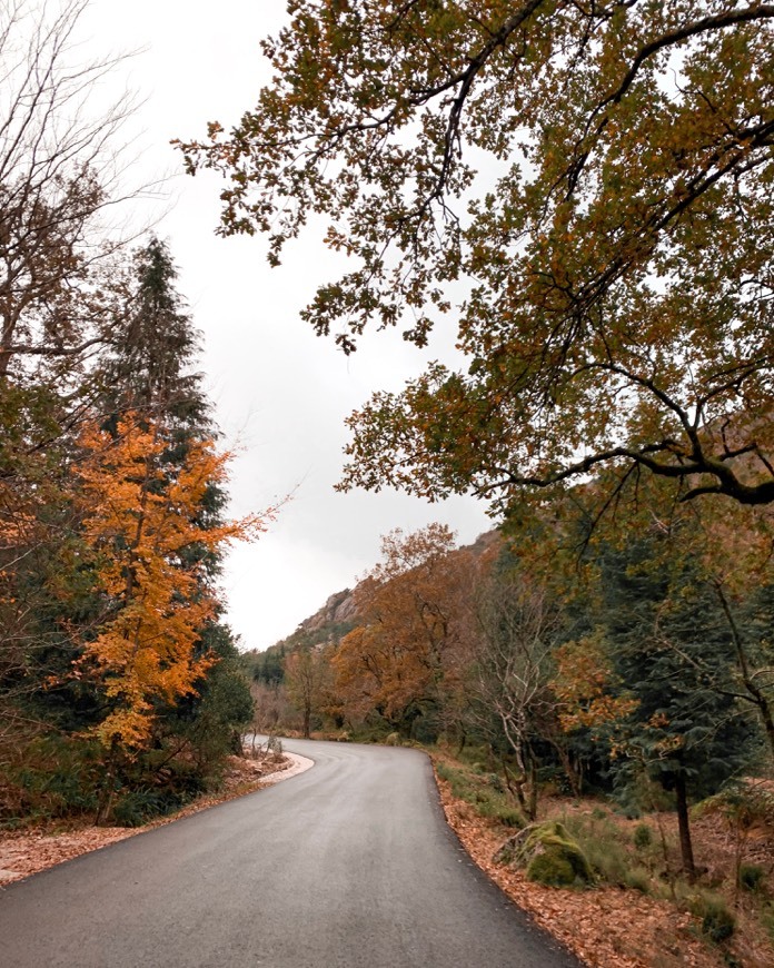 Lugar Peneda-Gerês National Park