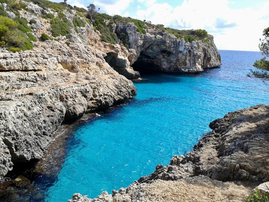 Place Cala Varques