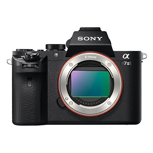 Social Sony ILCE-7M2 Alpha7 II - Cámara EVIL de 24.3 MP con montura