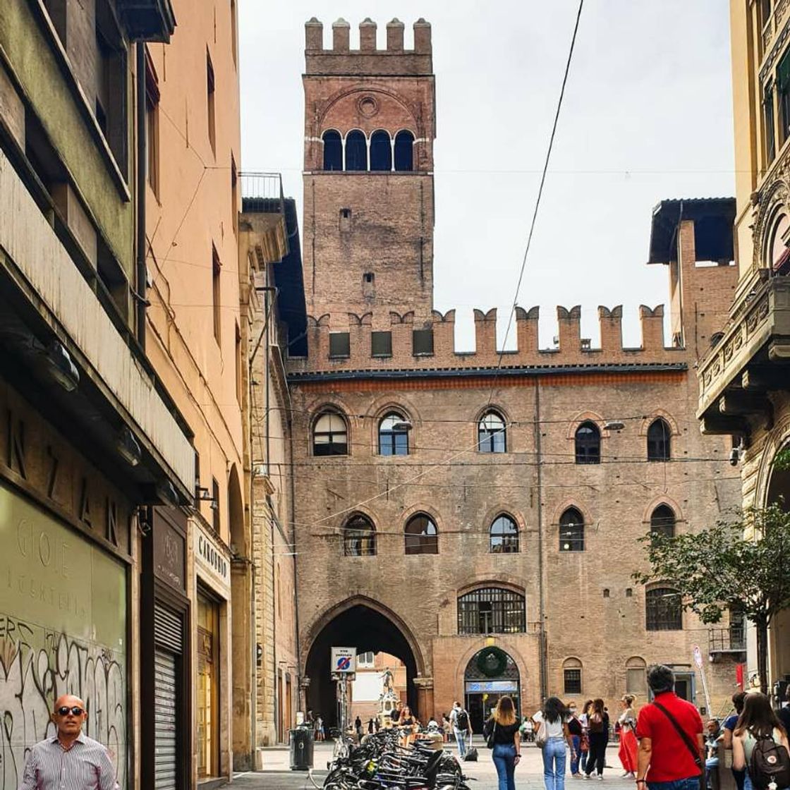 Social Bologna Welcome | Cosa Vedere e Fare a Bologna 