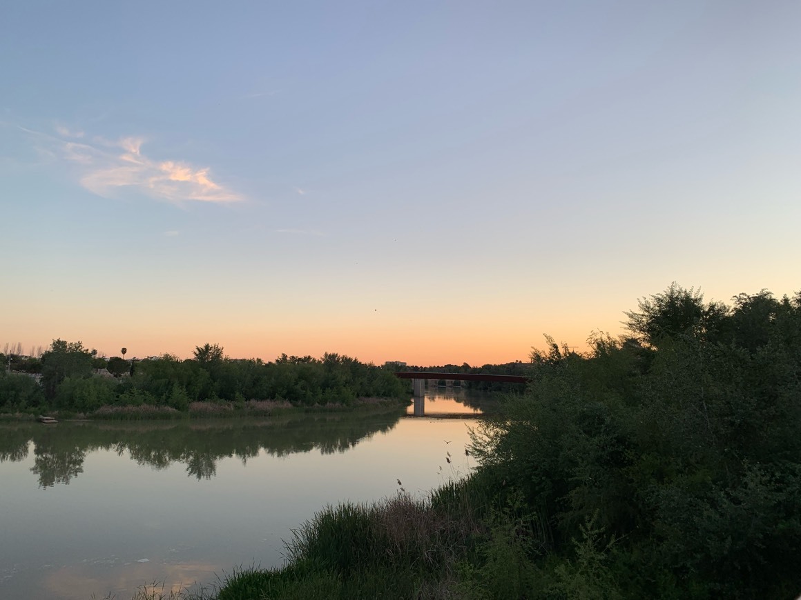 Lugar Paseo de la Ribera