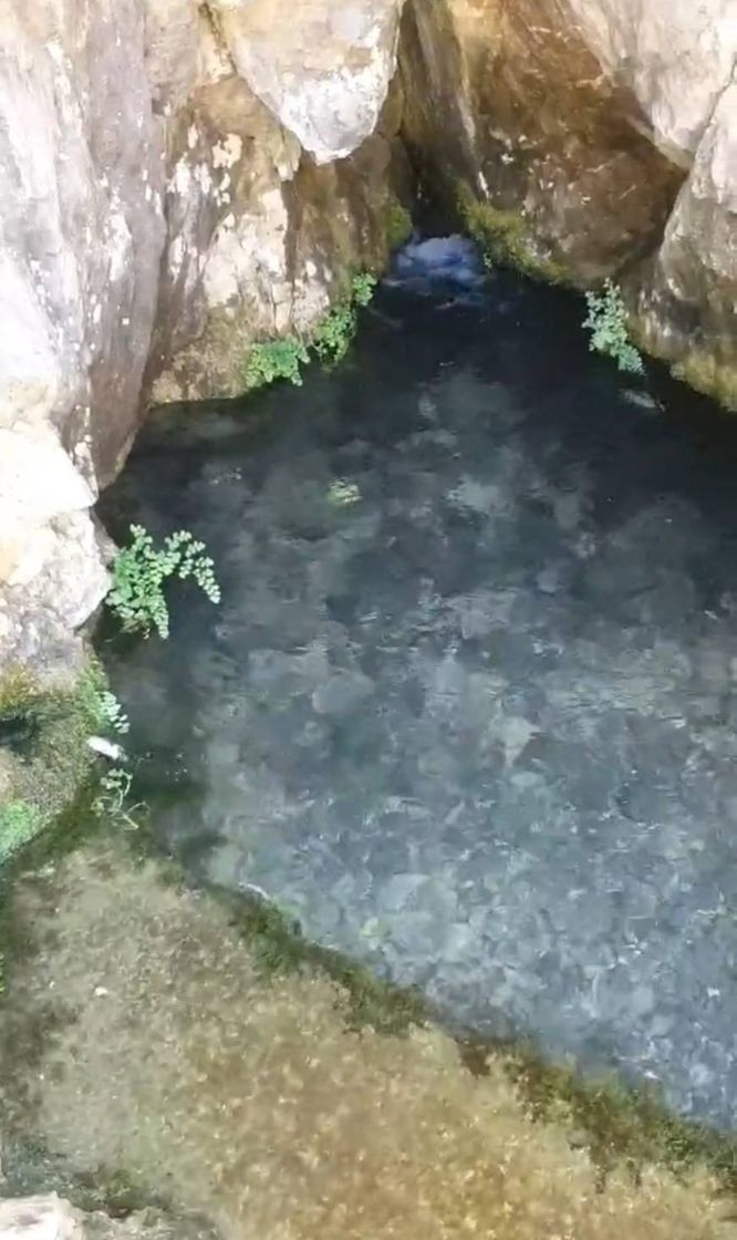 Place Fuentes del Algar