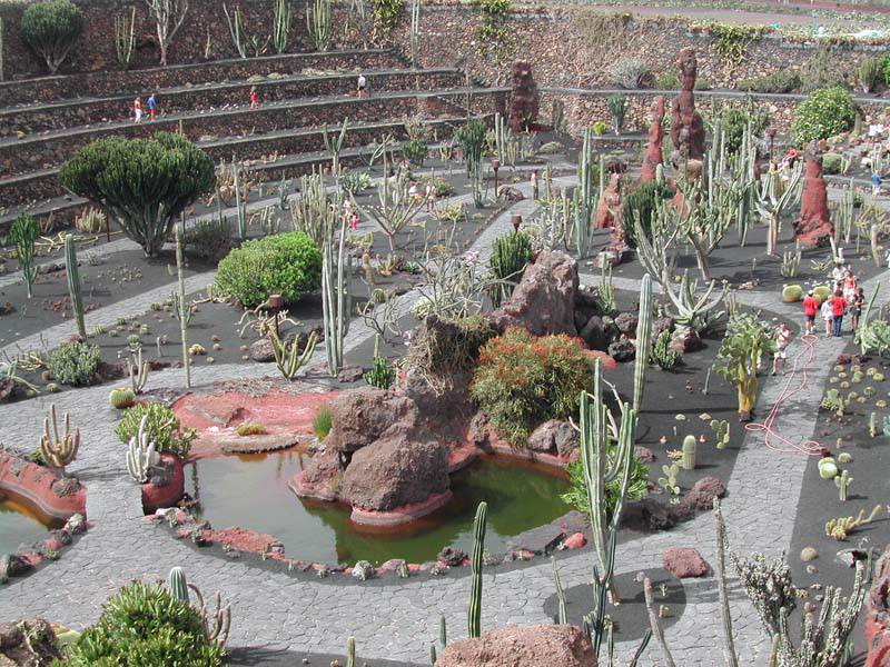 Lugares Jardín de captus (Lanzarote) 