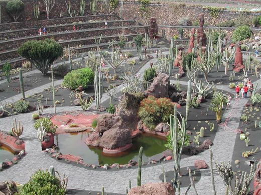 Jardín de captus (Lanzarote) 