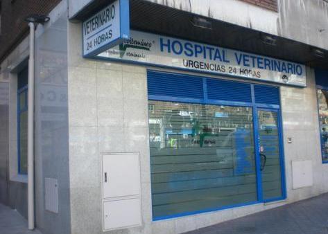 Places Hospital Veterinario Mediterraneo