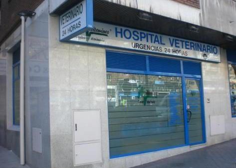 Hospital Veterinario Mediterraneo