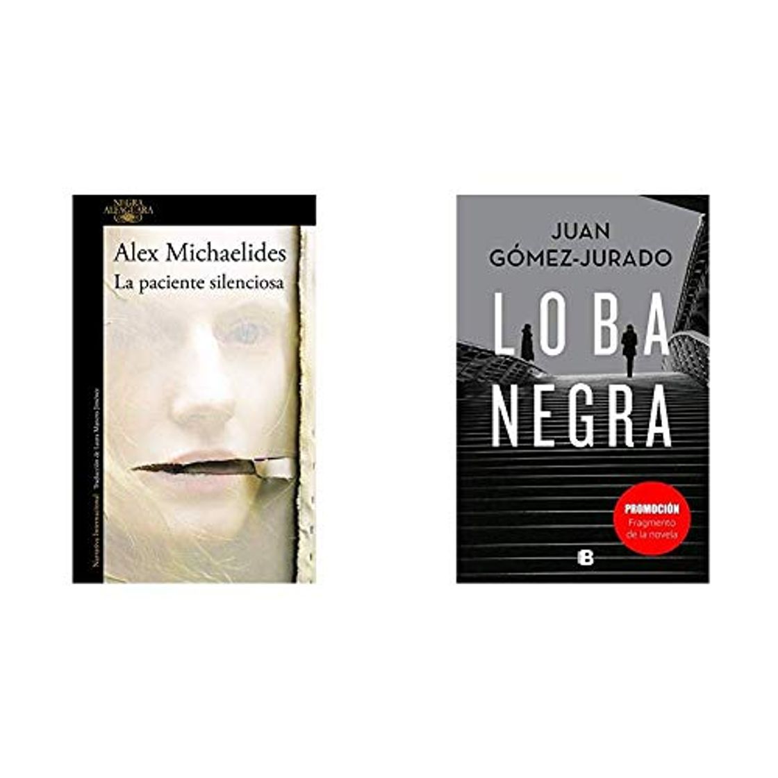 Libro La paciente silenciosa (ALFAGUARA NEGRA)+Promoción fragmento de la novela Loba Negra (No venal)