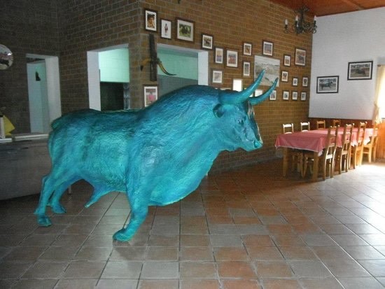 Restaurants Aficionado