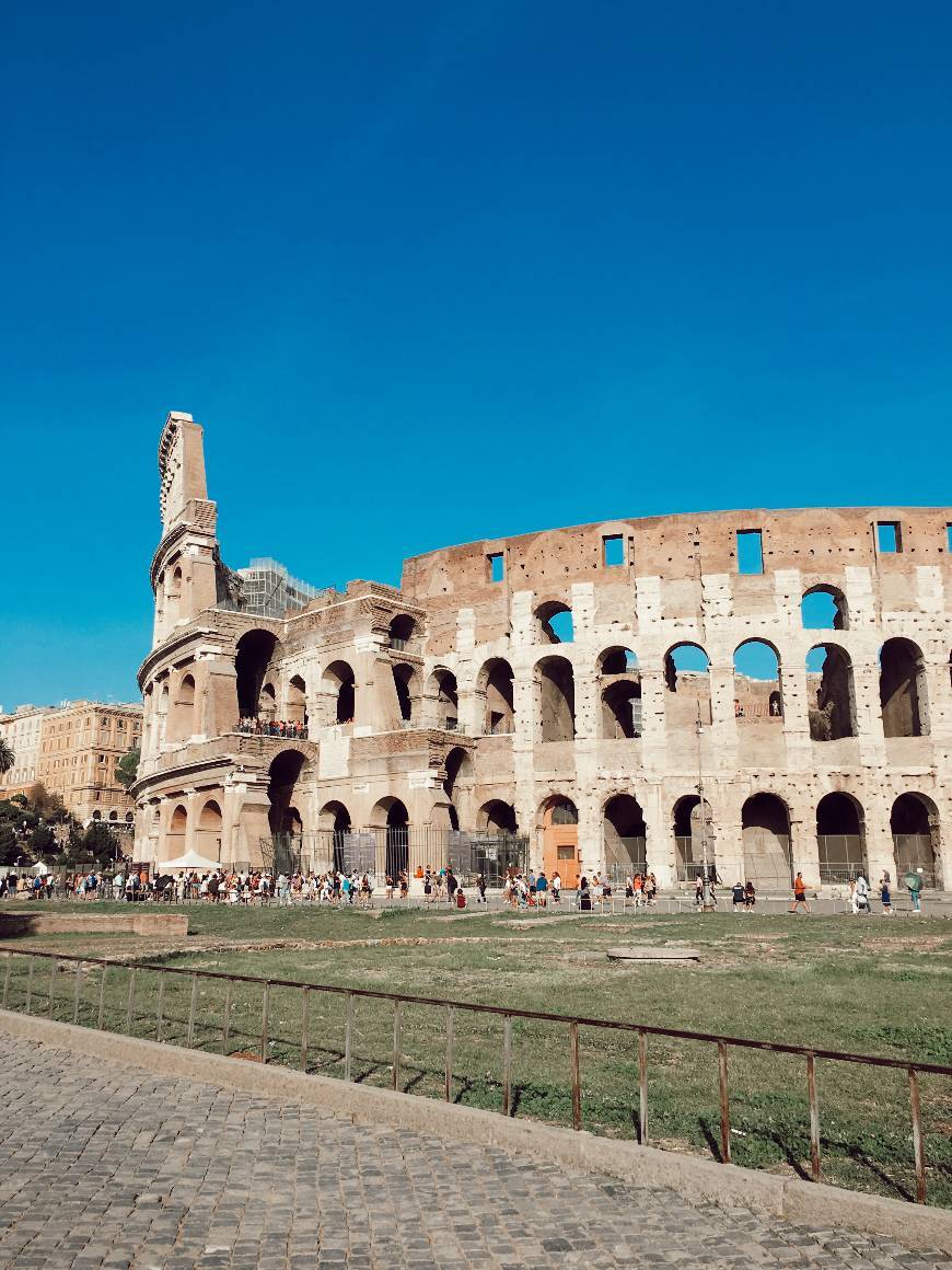 Lugar Coliseo de Roma