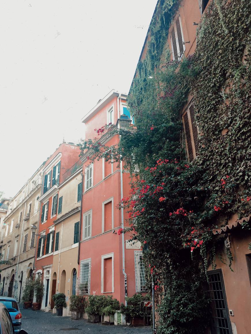 Place Trastevere Barrio