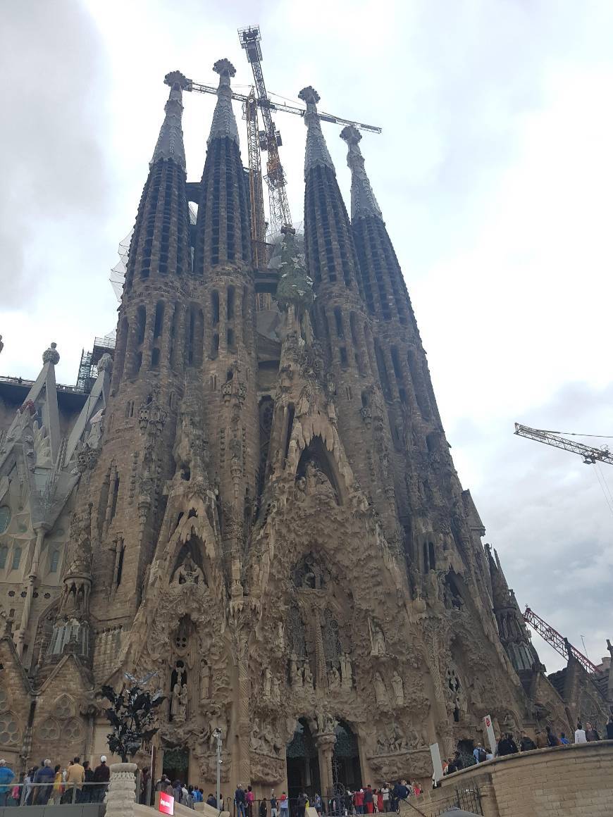 Lugar Basílica Sagrada Familia